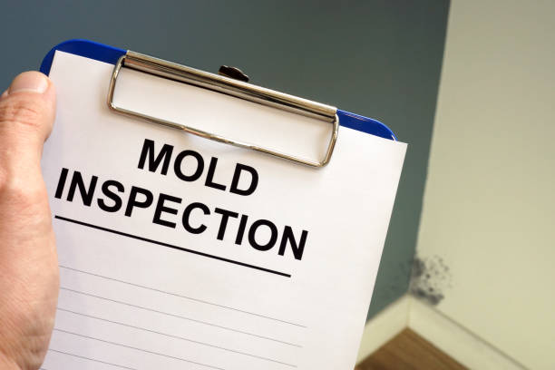 Best Airborne Mold Testing  in Whitwell, TN